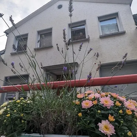 Vakantiehuis Silent River - Mosel Bruttig-Fankel
